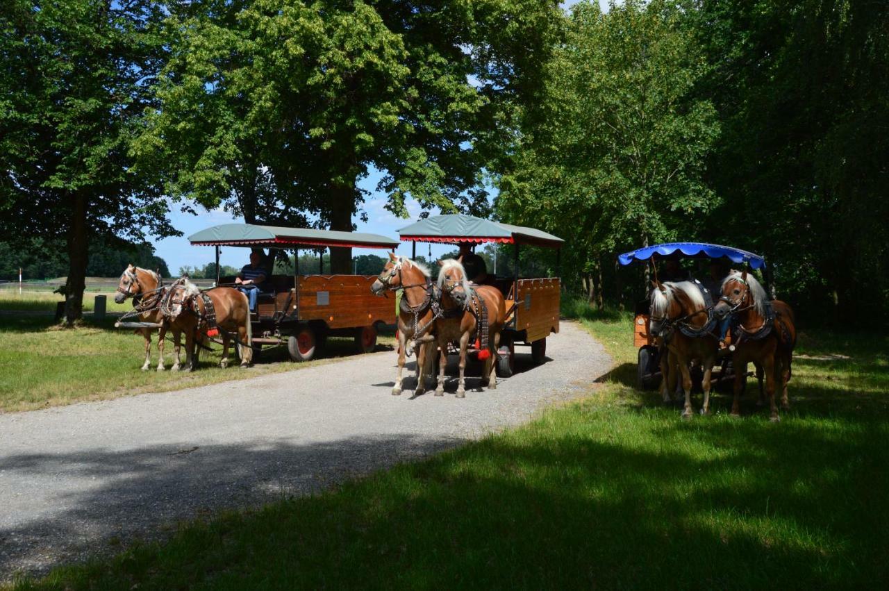 Ferienhaus Am Park Vila Lobnitz  Exterior foto